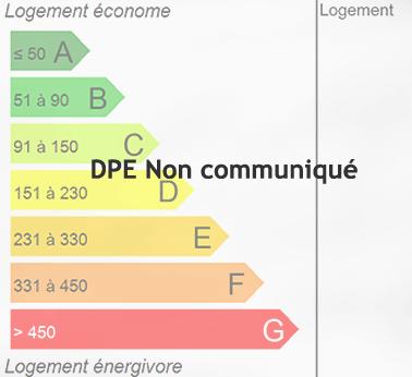 Diagnostic DPE