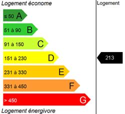 Diagnostic DPE