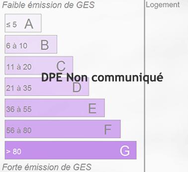 Diagnostic GES